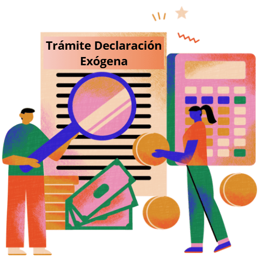 Trámite Declaración Exógena